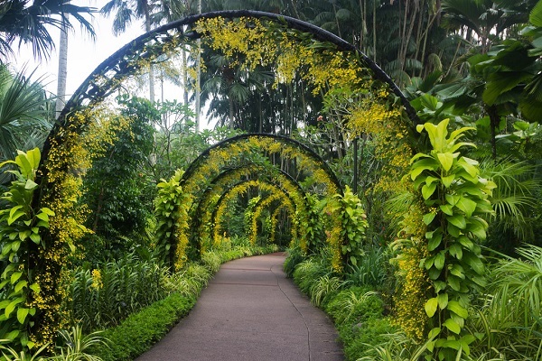 Ini Dia 5 Taman Singapura Yang Enak Buat Ngadem, Salah Satunya Warisan Dunia